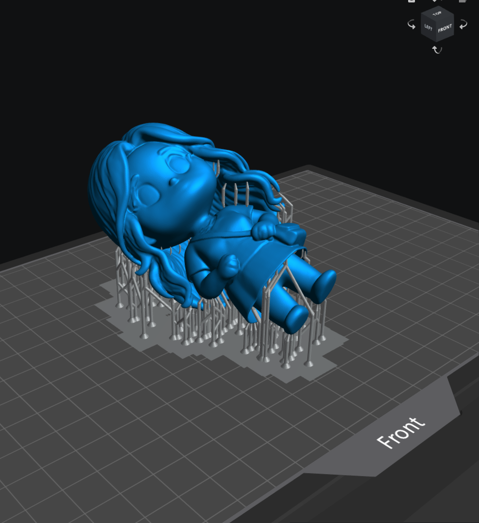 Resin print setup